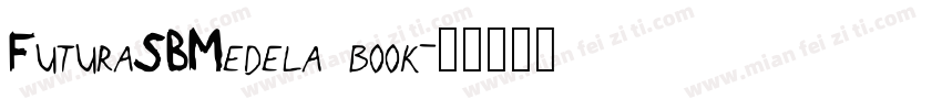 FuturaSBMedela book字体转换